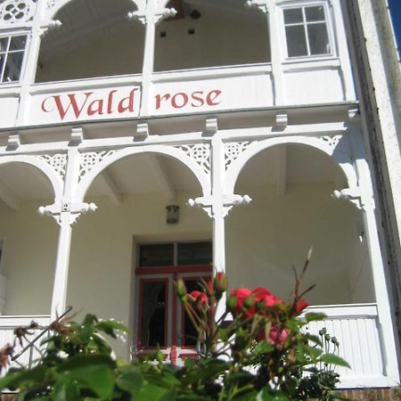 Pension Waldrose Sellin (Rugen) Exterior foto